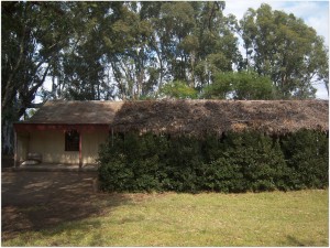 Antiguo edificio escolar de El Triángulo en la actualidad (2010)