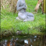Estatua del Buda Sakyamuni  y su reflejo en el agua